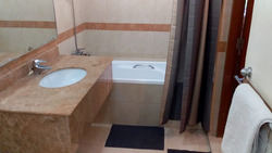 Sommerville Park (D10), Condominium #481982821